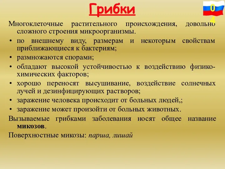 Многоклеточные растительного происхождения, довольно сложного строения микроорганизмы. по внешнему виду,