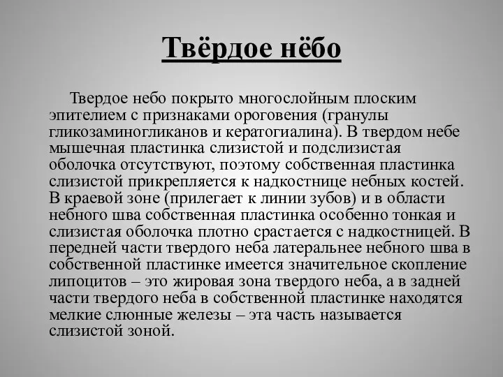 Твёрдое нёбо Твердое небо покрыто многослойным плоским эпителием с признаками