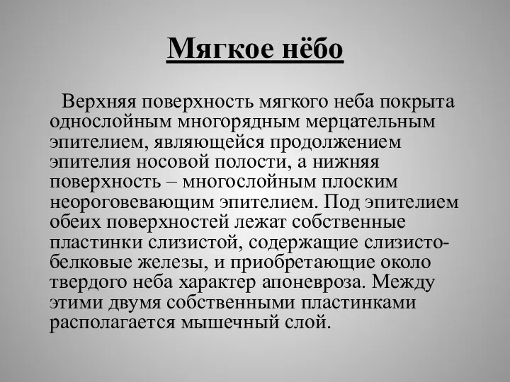 Мягкое нёбо Верхняя поверхность мягкого неба покрыта однослойным многорядным мерцательным