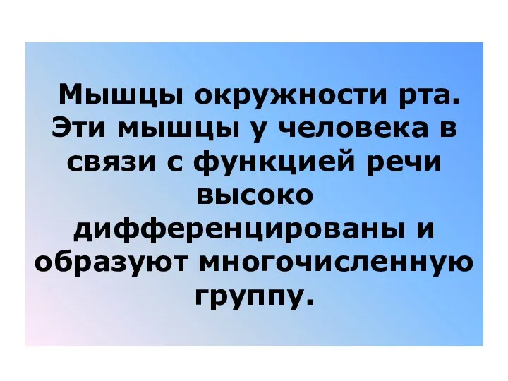 Мышцы окружности рта. Эти мышцы у человека в связи с