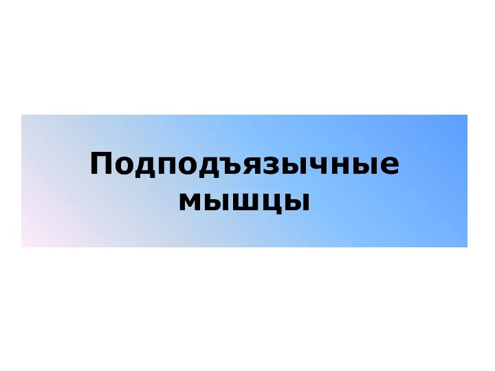 Подподъязычные мышцы