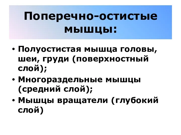 Поперечно-остистые мышцы: Полуостистая мышца головы, шеи, груди (поверхностный слой); Многораздельные