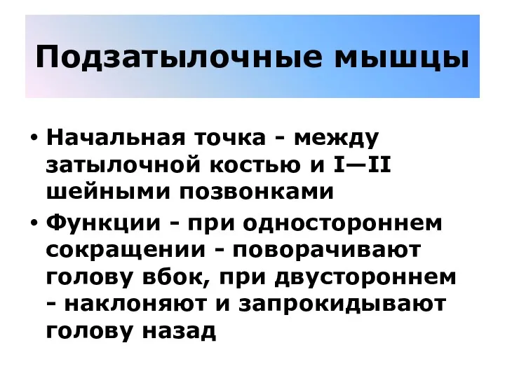 Подзатылочные мышцы Начальная точка - между затылочной костью и I—II