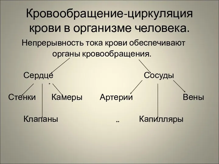 Кровообращение-циркуляция крови в организме человека. Непрерывность тока крови обеспечивают органы