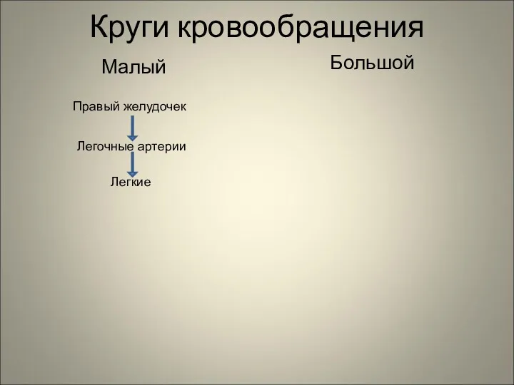 Круги кровообращения Малый Большой Правый желудочек Легочные артерии Легкие