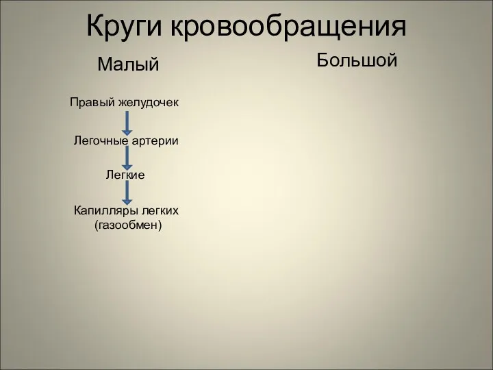 Круги кровообращения Малый Большой Правый желудочек Легочные артерии Легкие Капилляры легких (газообмен)