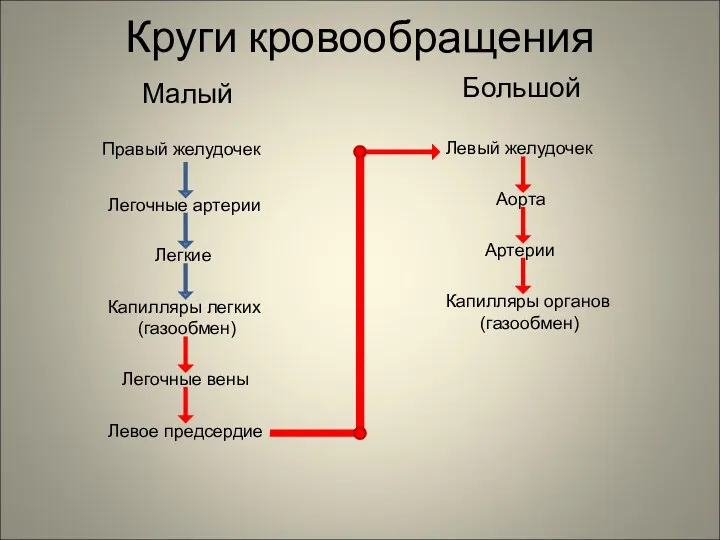 Круги кровообращения Малый Большой Правый желудочек Легочные артерии Легкие Капилляры