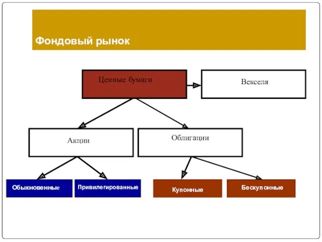 Фондовый рынок Ценные бумаги Акции Облигации Векселя Обыкновенные Привилегированные Купонные Бескупонные
