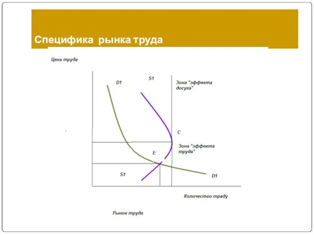 Специфика рынка труда