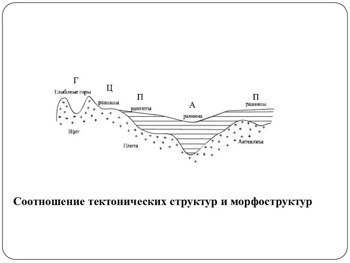 Соотношение тектонических структур и морфоструктур Г Ц П А П