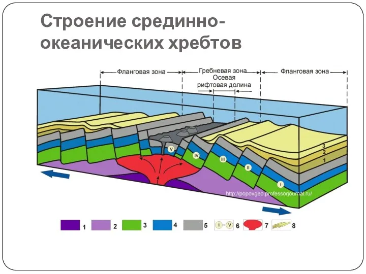 Строение срединно-океанических хребтов