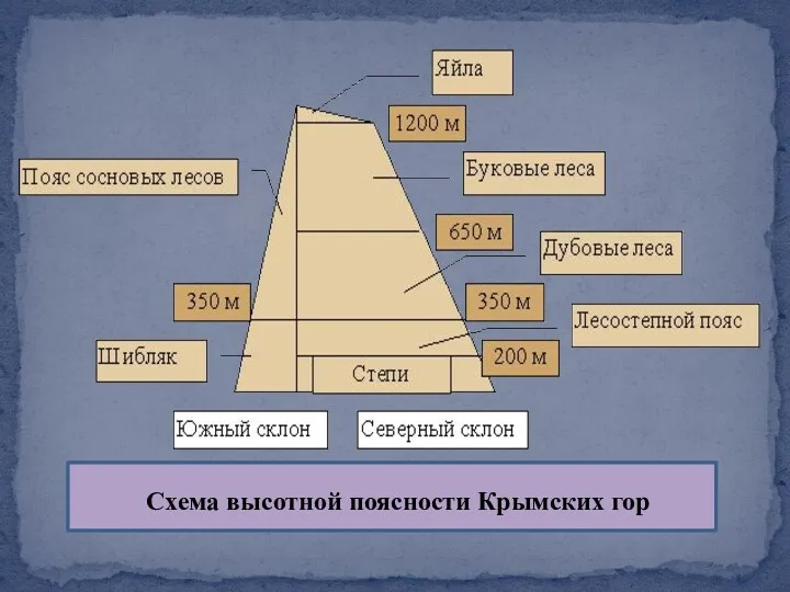 Схема высотной поясности Крымских гор