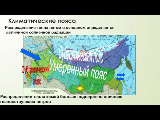 Климатические пояса Арктический пояс Субарктический пояс Умеренный пояс Субтропический пояс