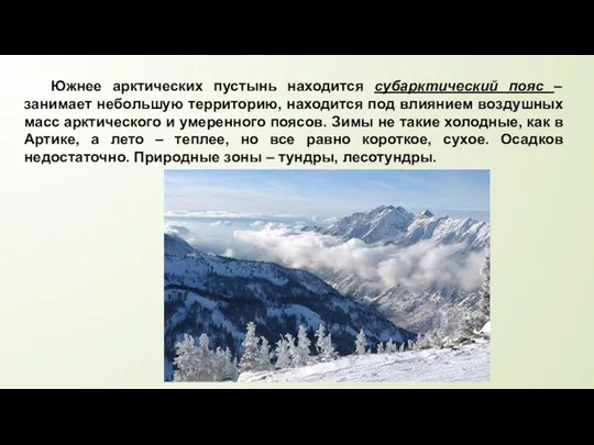 Южнее арктических пустынь находится субарктический пояс – занимает небольшую территорию,