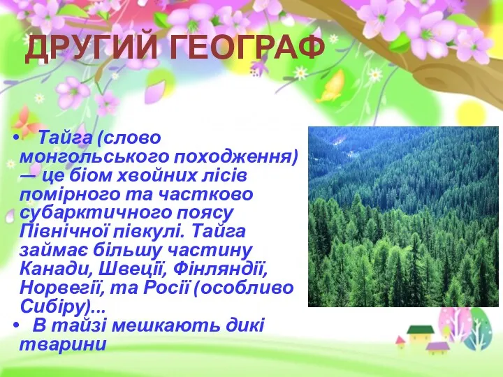 Тайга (слово монгольського походження) — це біом хвойних лісів помірного