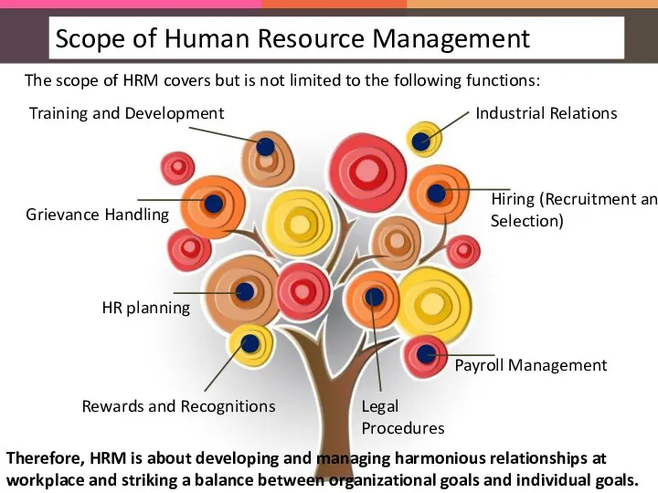 The scope of HRM covers but is not limited to