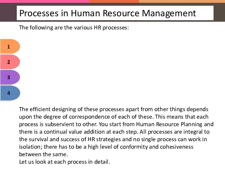The following are the various HR processes: The efficient designing of these processes