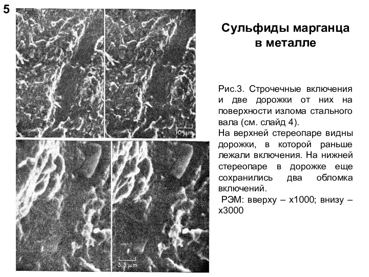 Сульфиды марганца в металле Рис.3. Строчечные включения и две дорожки