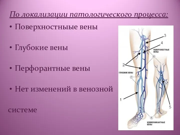 Поверхностныые вены Глубокие вены Перфорантные вены Нет изменений в венозной системе По локализации патологического процесса: