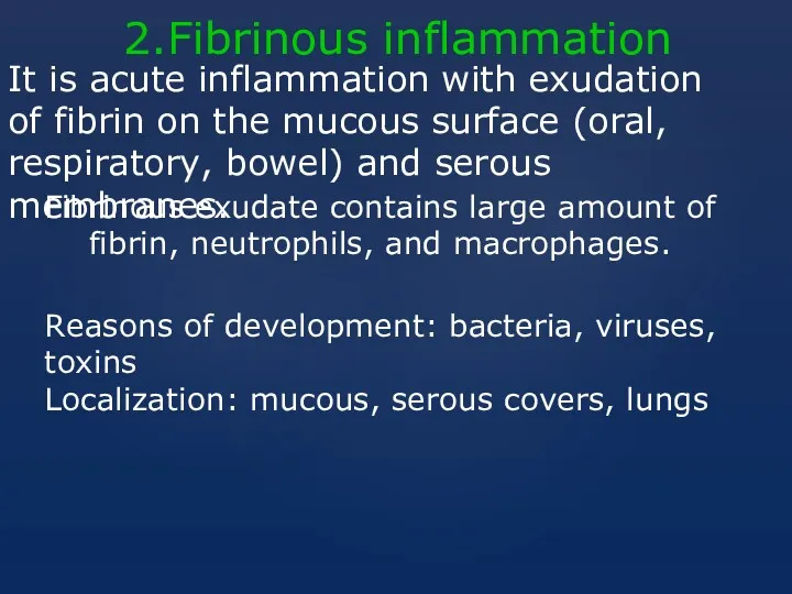 2.Fibrinous inflammation It is acute inflammation with exudation of fibrin