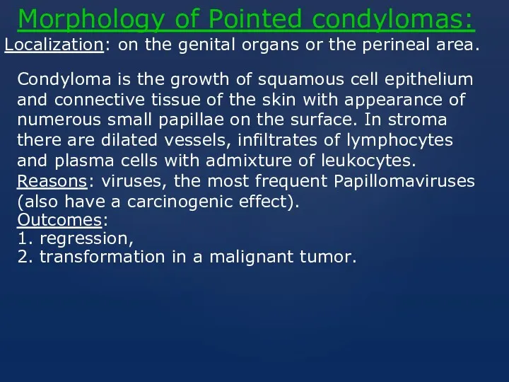 Morphology of Pointed сondylomas: Localization: on the genital organs or