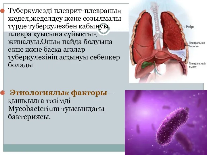 Туберкулезді плеврит-плевраның жедел,жеделдеу және созылмалы түрде туберкулезбен қабынуы, плевра қуысына