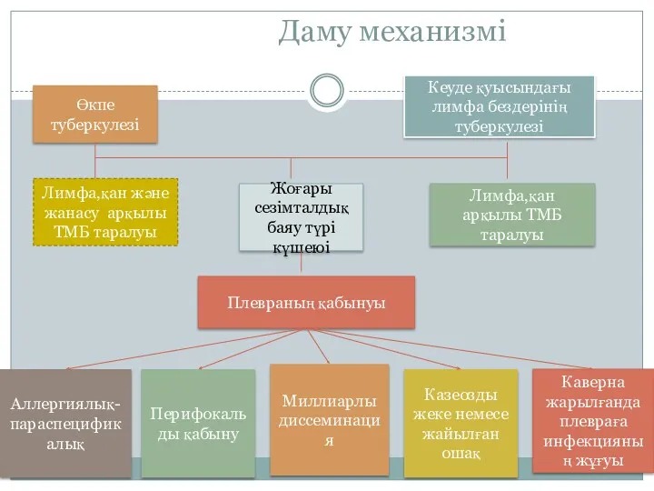 Даму механизмі Өкпе туберкулезі Кеуде қуысындағы лимфа бездерінің туберкулезі Лимфа,қан