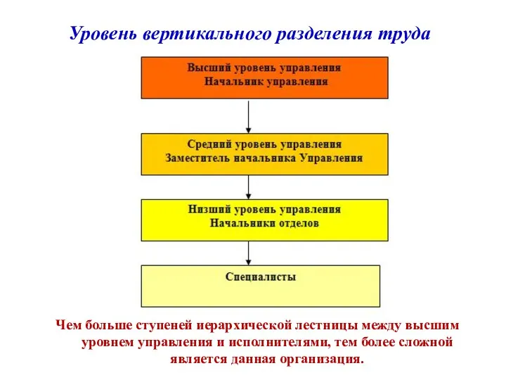 Уровень вертикального разделения труда Чем больше ступеней иерархической лестницы между