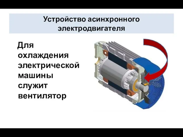 Устройство асинхронного электродвигателя Для охлаждения электрической машины служит вентилятор