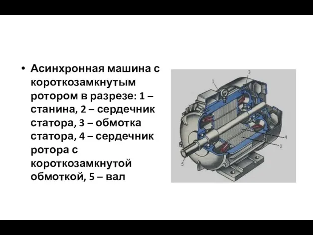 Асинхронная машина с короткозамкнутым ротором в разрезе: 1 – станина,