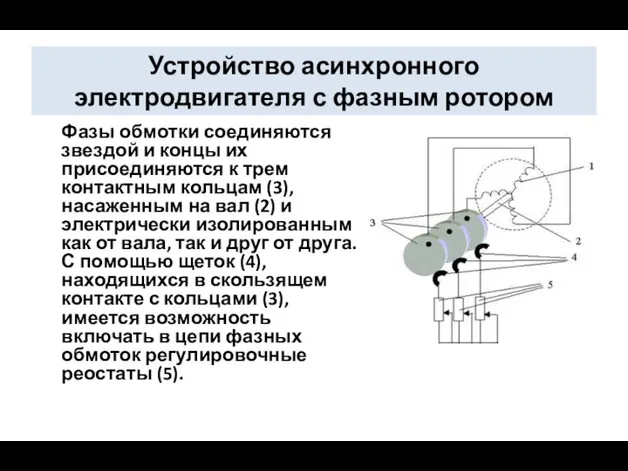 Устройство асинхронного электродвигателя с фазным ротором Фазы обмотки соединяются звездой