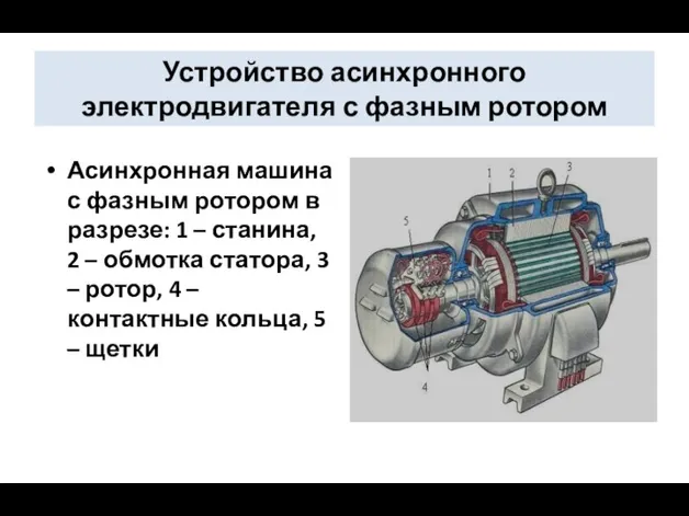 Устройство асинхронного электродвигателя с фазным ротором Асинхронная машина с фазным