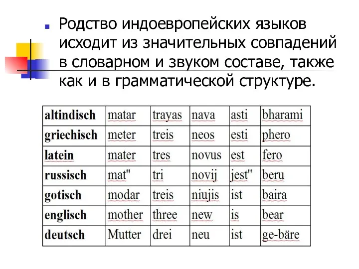 Родство индоевропейских языков исходит из значительных совпадений в словарном и