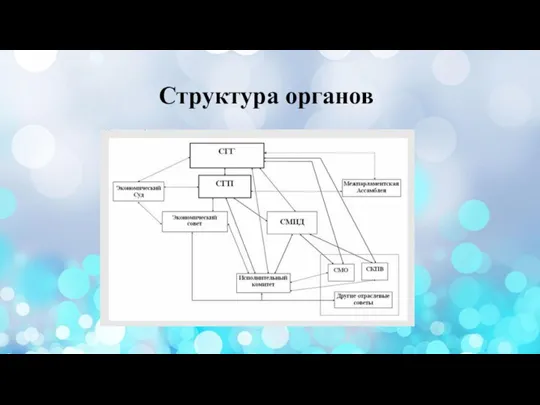 Структура органов