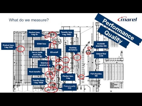 What do we measure? Quality Performance