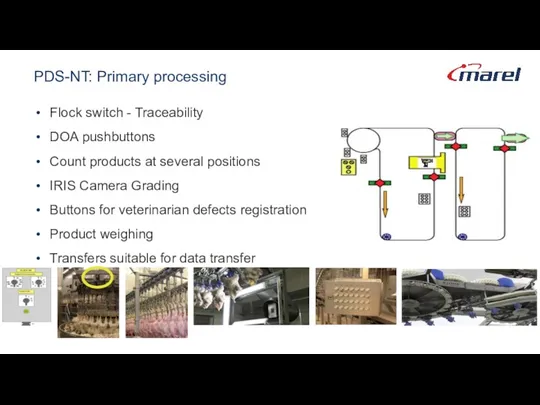 PDS-NT: Primary processing Flock switch - Traceability DOA pushbuttons Count