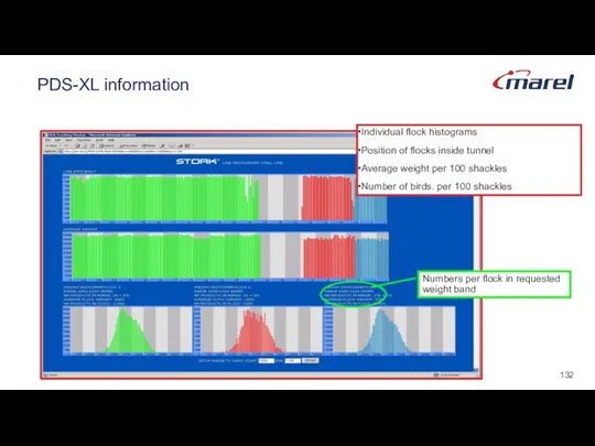 PDS-XL information Individual flock histograms Position of flocks inside tunnel