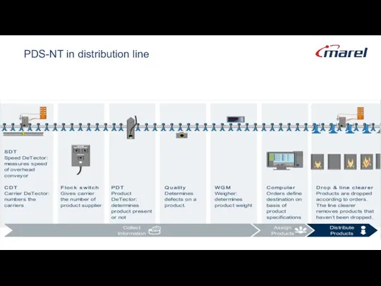 PDS-NT in distribution line