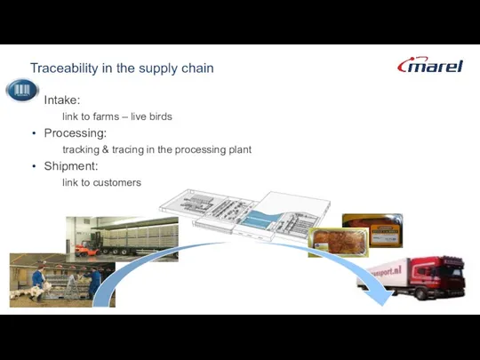 Traceability in the supply chain Intake: link to farms – live birds Processing: