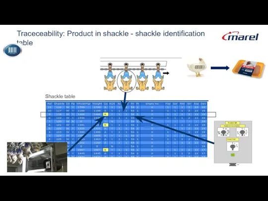 Traceceability: Product in shackle - shackle identification table Shackle table
