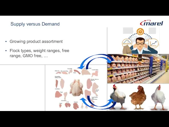 Supply versus Demand Growing product assortment Flock types, weight ranges, free range, GMO free, …
