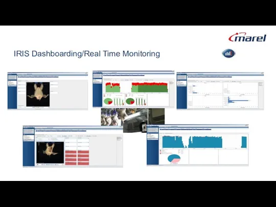 IRIS Dashboarding/Real Time Monitoring