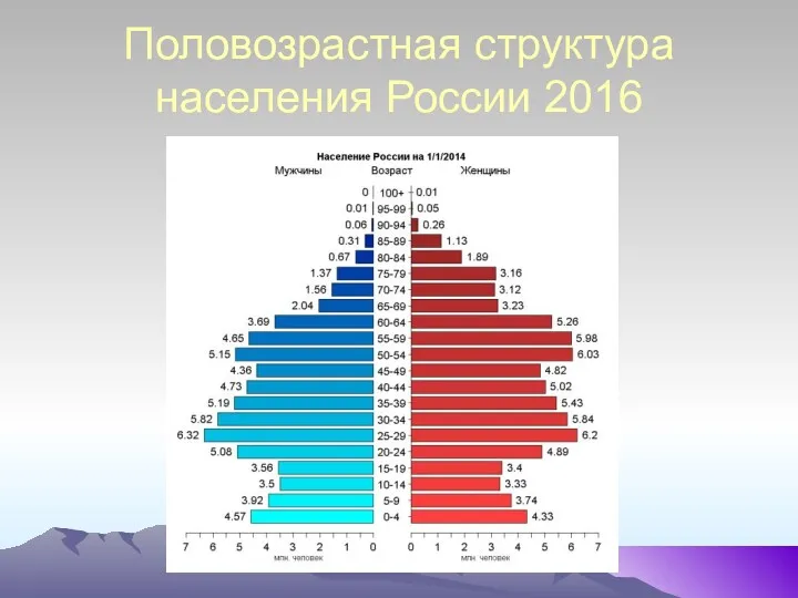 Половозрастная структура населения России 2016