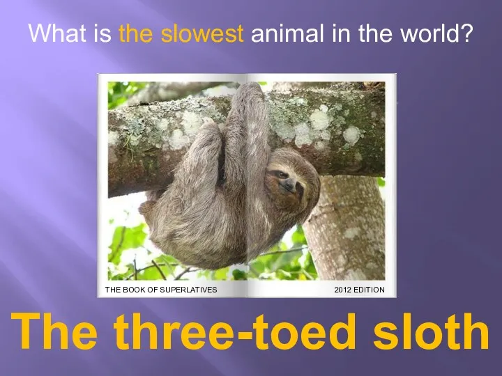 What is the slowest animal in the world? The three-toed sloth