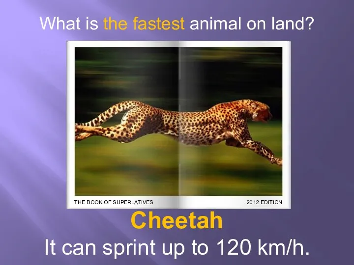 What is the fastest animal on land? Cheetah It can sprint up to 120 km/h.