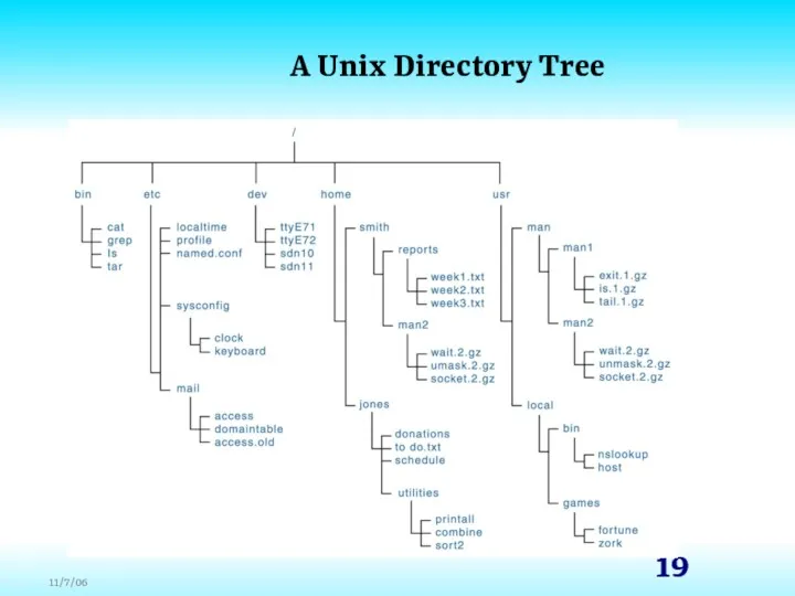 A Unix Directory Tree