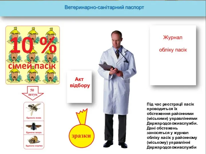 Під час реєстрації пасік проводиться їх обстеження районними (міськими) управліннями