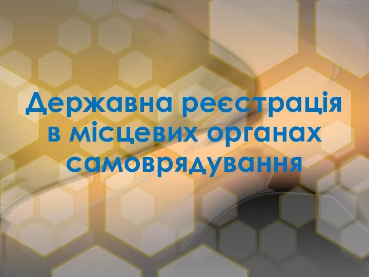 Державна реєстрація в місцевих органах самоврядування