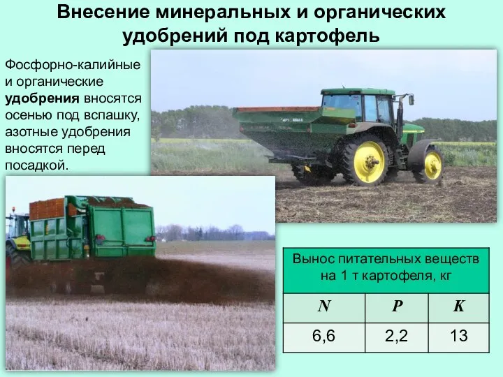 Внесение минеральных и органических удобрений под картофель Фосфорно-калийные и органические