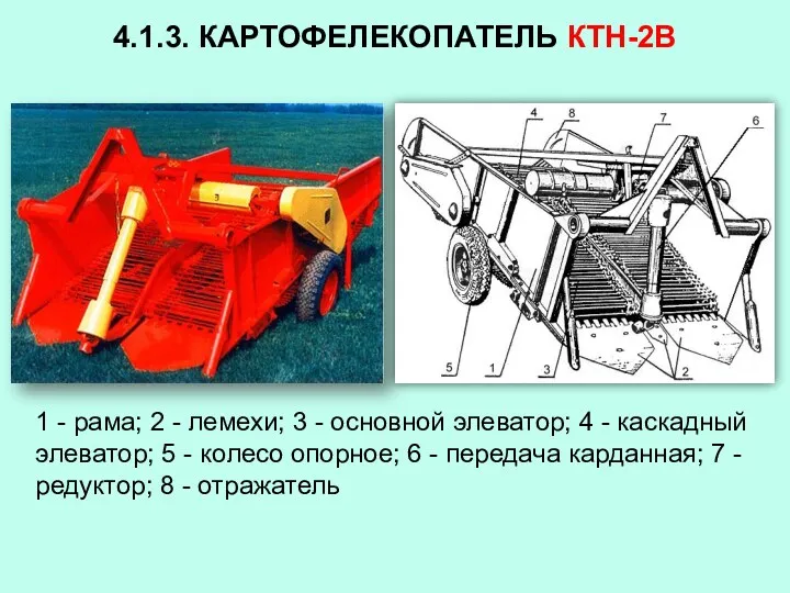 4.1.3. КАРТОФЕЛЕКОПАТЕЛЬ КТН-2В 1 - рама; 2 - лемехи; 3